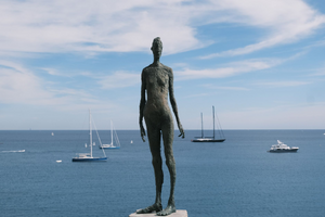 Lutte contre les nuisibles Antibes